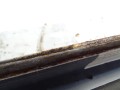DSC08244.JPG