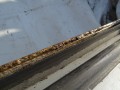 DSC08408.JPG