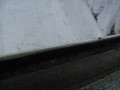 DSC08807.JPG