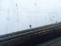 DSC08867.JPG
