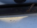 DSC09229.JPG