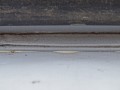 DSC09257.JPG
