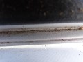 DSC09308.JPG
