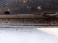 DSC09309.JPG