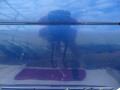 DSC09384.JPG