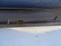 DSC09409.JPG