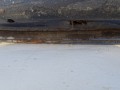 DSC09411.JPG