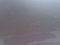 DSC09416.JPG