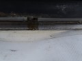 DSC09419.JPG