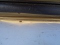 DSC09521.JPG