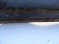 DSC09530.JPG