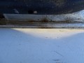 DSC09581.JPG