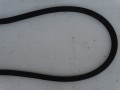 DSC08397.JPG