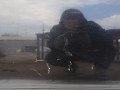 DSC01074.JPG