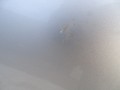 DSC09109.JPG