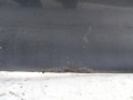 DSC09132.JPG
