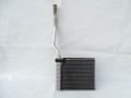 DSC05787.JPG
