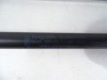 DSC05562.JPG