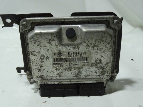 DSC09895.JPG