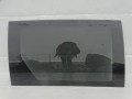 DSC01086.JPG