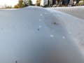 104_1850.JPG