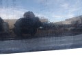 111_0057.JPG