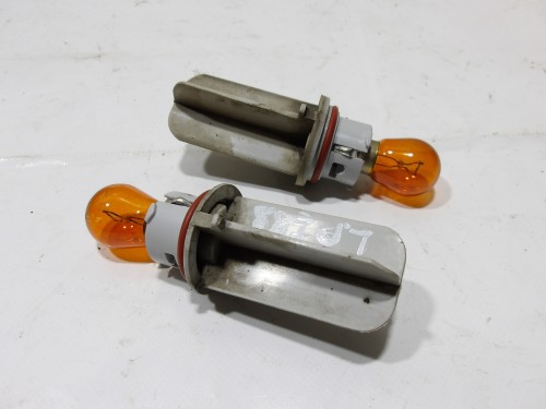 111_0199.JPG