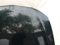 111_0003.JPG