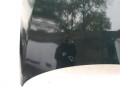 111_0004.JPG