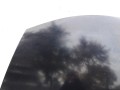 111_0013.JPG