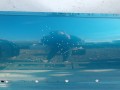 111_0304.JPG