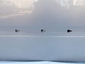104_4705.JPG