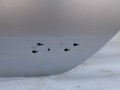 104_5327.JPG