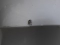 104_3932.JPG