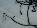 DSC00243.JPG