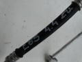 DSC08571.JPG