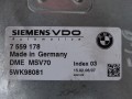 DSC09479.JPG
