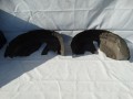 DSC04675.JPG