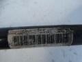DSC06062.JPG