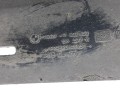 100_0260.JPG