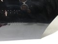 100_0296.JPG