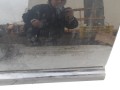 100_1337.JPG