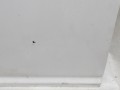 100_0126.JPG