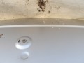100_1102.JPG