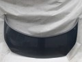 100_2108.JPG