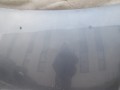 100_2254.JPG