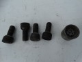 DSC07768.JPG