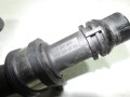 100_0237.JPG