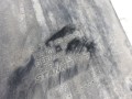 100_0331.JPG