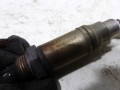 100_0550.JPG